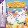 Hamtaro - Ham-Ham Heartbreak Box Art Front